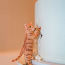 Glass Slipper Gourmet - Cat figure (commissioned on Etsy) to look like our cat that Kelly placed in the cake
