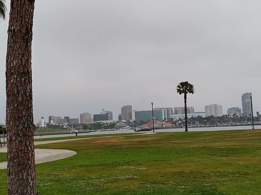 Harry Bridges Memorial Park by null