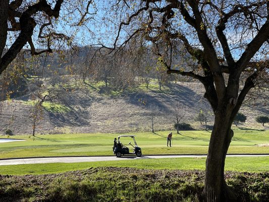 Cordevalle by null