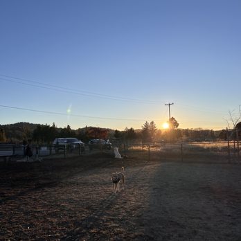 MacKay Park - Dog Park - Parks Near Me MacKay Park - Dog Park - Parks Near Me
