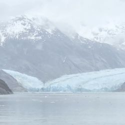 Endicott Arm and Dawes Glacier - Glacier