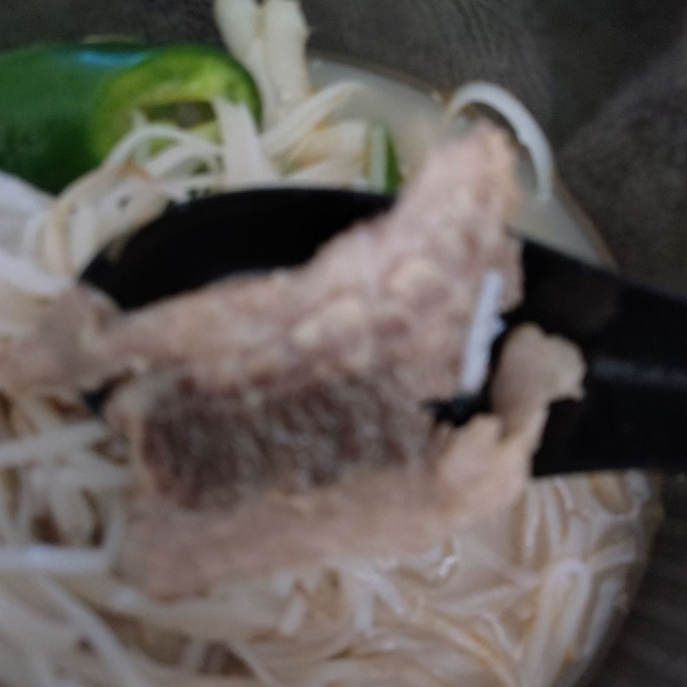 Viet-Thai - Close up of the weirdly hard meat - Vietnamese Near Me - Charlotte, North Carolina Viet-Thai - Close up of the weirdly hard meat - Vietnamese Near Me - Charlotte, North Carolina
