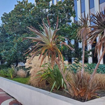 King Plaza - Garden - Local Flavor Near Me - Palo Alto, California King Plaza - Garden - Local Flavor Near Me - Palo Alto, California