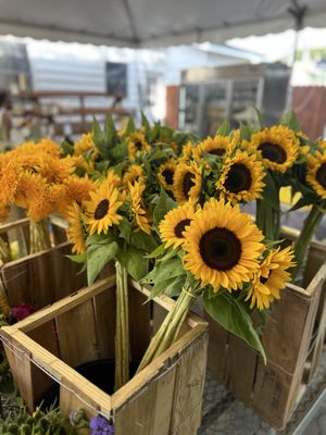 Briermere Farms by null