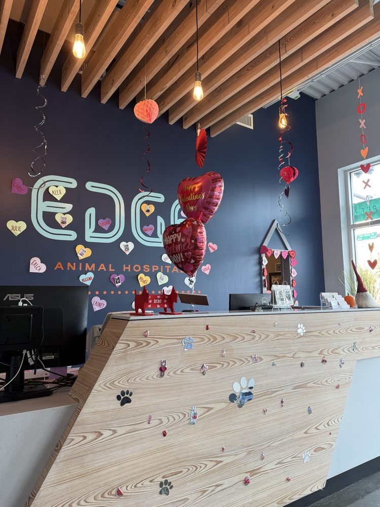 EDGE Animal Hospital Image