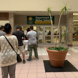 Department of Motor Vehicles - Walk in customer line