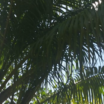 La Cueva del Indio - Local Flavor Near Me - Arecibo, Puerto Rico