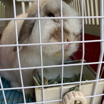 みわエキゾチック動物病院 Veterinarians 駒込1 25 5 豊島区 東京都 Japan Phone Number