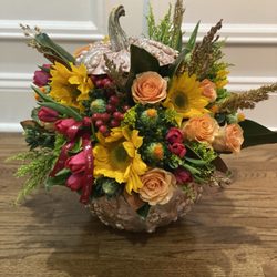Lara Rose - Fall mix in a pumpkin!