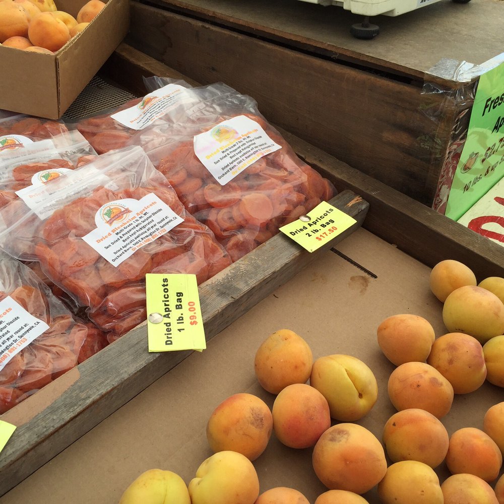 Sunnyvale Community Center - Apricots FTW! - Community Centers Near Me - Sunnyvale, California Sunnyvale Community Center - Apricots FTW! - Community Centers Near Me - Sunnyvale, California