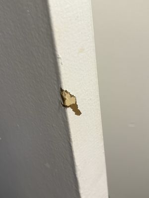 The Twin Fin Hotel by null