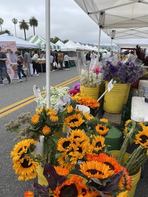 Beverly Hills Farmers Market by null