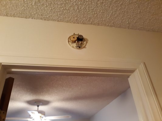 Oatman Hotel Restaurant & Bar by null