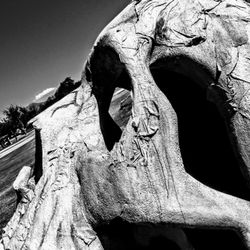 Giant skulls