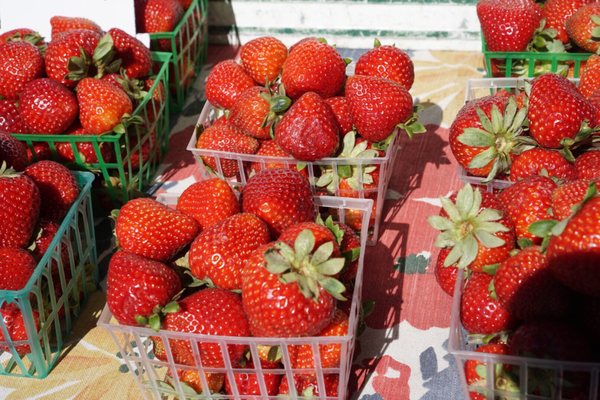 Campbell Farmer's Market by null