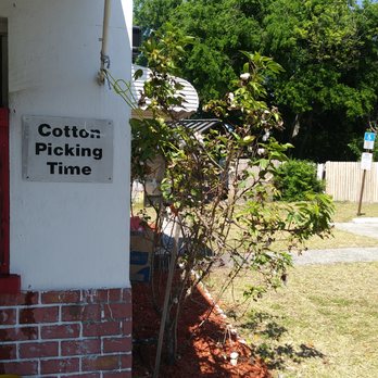 Eli's Bar B Que - you can pick cotton while on the premises - Barbeque Near Me - Dunedin, Florida Eli's Bar B Que - you can pick cotton while on the premises - Barbeque Near Me - Dunedin, Florida