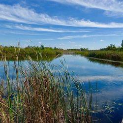 Homewood Izaak Walton Preserve - Prairie Lake