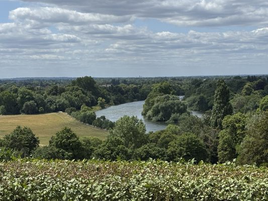 Richmond Park by null
