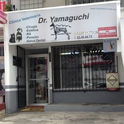 Clinica Veterinaria Dr. Yamaguchi-Clínicas Veterinarias