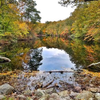 NATURE CONSERVANCY - DEVIL’S DEN PRESERVE - Updated October 2025 - 67 ...