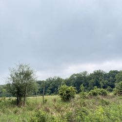 Woodlawn Manor - Path on the underground railroad experience