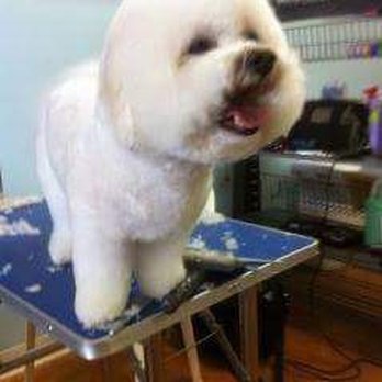Cloud K-9 - Pet Groomers Near Me - Alachua, Florida Cloud K-9 - Pet Groomers Near Me - Alachua, Florida