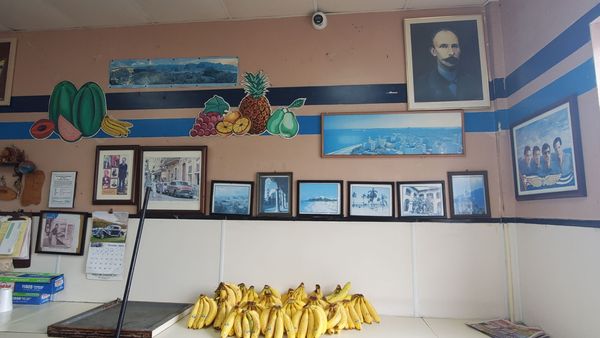 S & N Vegetables by null