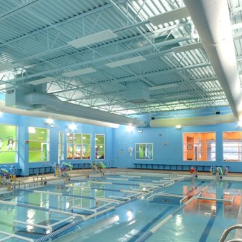 Bear Paddle Swim School - Swimming Lessons/Schools Near Me - Aurora, Illinois