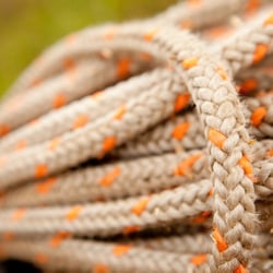 Pacific Coast Tree Service