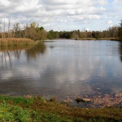 Nsg Köppchensee - Unten am Westufer.