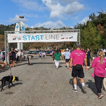 Wiggle Waggle Walk - Community Service/Non-Profit Near Me - Pasadena, California Wiggle Waggle Walk - Community Service/Non-Profit Near Me - Pasadena, California