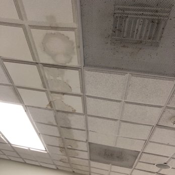Hilton Garden Inn Tupelo, MS - Ceiling in the fitness center with water damaged ceiling tiles. I suspect this is the source of the moldy smell in the fitness center. - Hotels Near Me - Tupelo, Mississippi Hilton Garden Inn Tupelo, MS - Ceiling in the fitness center with water damaged ceiling tiles. I suspect this is the source of the moldy smell in the fitness center. - Hotels Near Me - Tupelo, Mississippi