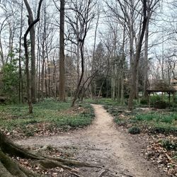 Lullwater Conservation Park