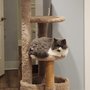 Schultz Veterinary Clinic