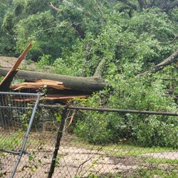 EscaRosa Tree Service