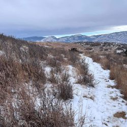 Reservoir Ridge Natural Area