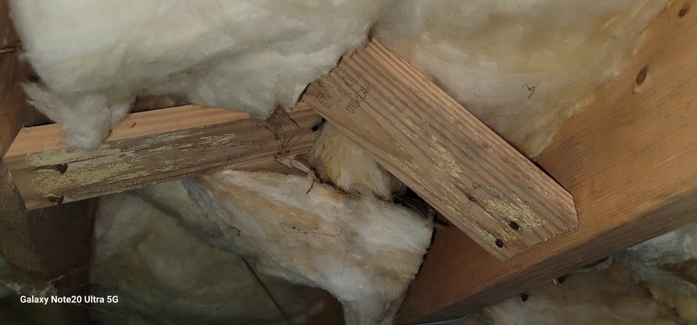 Quality Air Inspections - mold inspector in Hickory, NC