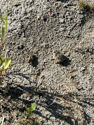 Cherry Creek State Park by null