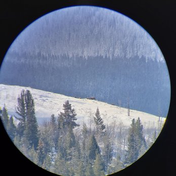 Jackson Hole Wildlife Safaris - Tours Near Me - Jackson, Wyoming