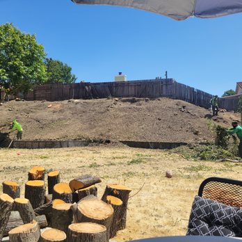 Reasonable Tree Services - Tree Services Near Me Reasonable Tree Services - Tree Services Near Me