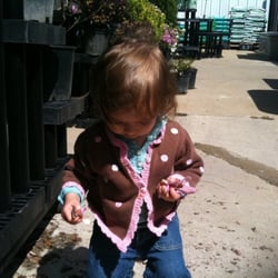 Ace Hardware - Normal - Kate likes to help in the garden section