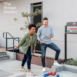 The Bridge District