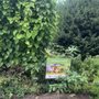 Penn State Extension