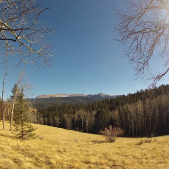 Mueller State Park - Hiking around the park provides some great views. - Hiking Near Me - Divide, Colorado