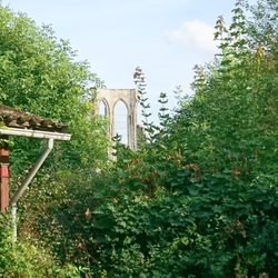 Klosterhof Walkenried - Die Klosterruine, zu sehen im Biergarten