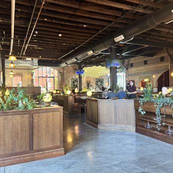 Red Herring Restaurant & Bar - Bars Near Me - Waco, Texas Red Herring Restaurant & Bar - Bars Near Me - Waco, Texas