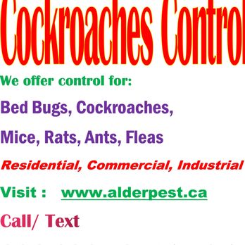 Alder Pest Management - Pest Control Near Me - Cambridge, Ontario Alder Pest Management - Pest Control Near Me - Cambridge, Ontario