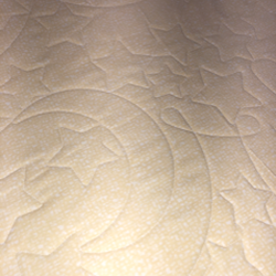 Cloud 9 Longarm Quilting