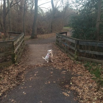 DC Dog Wizard - A+ - Pet Training Near Me - Washington, DC, District of Columbia