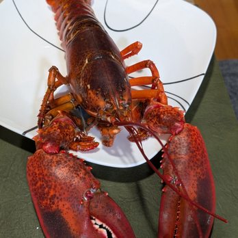 H Mart - Quincy - $7.99/ lb, raw. Photo shown of cooked lobster we cooked at home. Price paid was $13.10 prior to tax - Grocery Near Me - Quincy, Massachusetts H Mart - Quincy - $7.99/ lb, raw. Photo shown of cooked lobster we cooked at home. Price paid was $13.10 prior to tax - Grocery Near Me - Quincy, Massachusetts